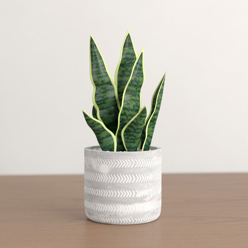 Foundstone™ 6.5" Artificial Snake Plant in Pot & Reviews Wayfair